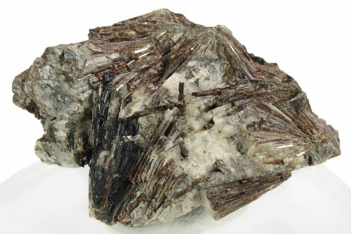 Lamprophyllite Crystal Aggregations in Matrix - Russia #251092